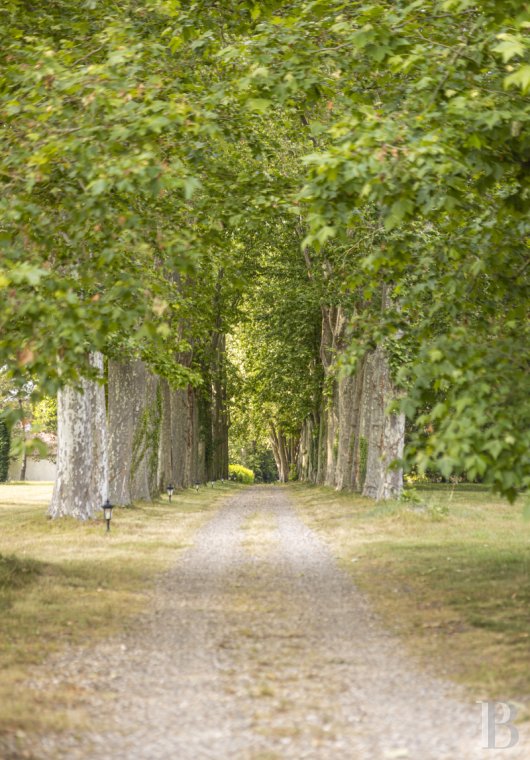 A Directoire style château surrounded by woods in the south of the Loiret department at Bonny-sur-Loire - photo  n°38